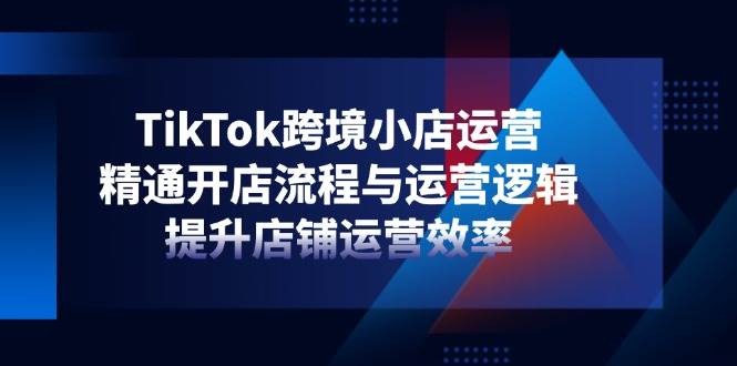 TikTok跨境小店运营，精通开店流程与运营逻辑，提升店铺运营效率-极速网创