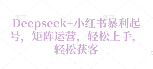Deepseek+小红书暴利起号，矩阵运营，轻松上手，轻松获客-极速网创