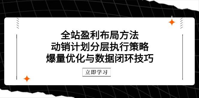 全站盈利布局方法：动销计划分层执行策略，爆量优化与数据闭环技巧-极速网创