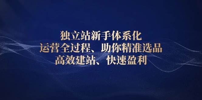 独立站新手体系化 运营全过程，助你精准选品、高效建站、快速盈利-极速网创