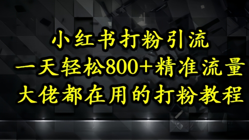 小红书打粉引流，一天轻松500+精准流量，大佬都在用的打粉教程-极速网创
