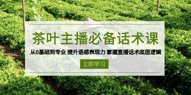 茶叶主播必备话术课 从0基础到专业 提升语感表现力 掌握直播话术底层逻辑-极速网创