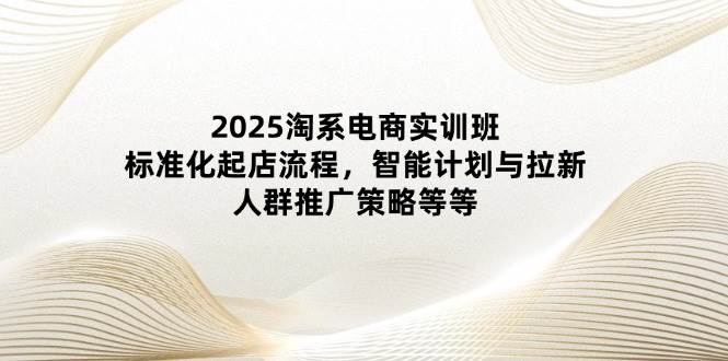 2025淘系电商实训班：标准化起店流程，智能计划与拉新，人群推广策略等等-极速网创