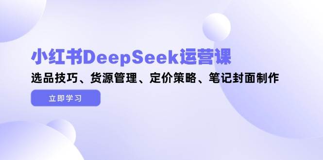 小红书DeepSeek运营课，选品技巧、货源管理、定价策略、笔记封面制作-极速网创