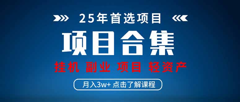 （14175期）2025 实操项目合集 挂机类型 直播类型 轻资产创业类型 课程分享各项目…-极速网创