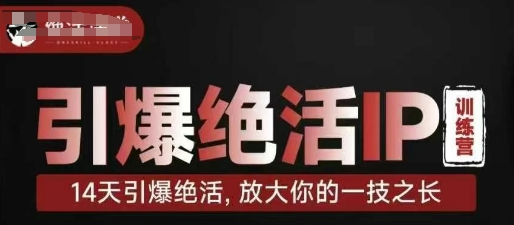 引爆绝活IP训练营，14天引爆绝活，放大你的一技之长-极速网创