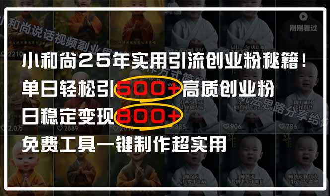 （14436期）小和尚2025年实用引流秘籍！单日轻松引500+高质量创业粉，日变现800+，…-极速网创