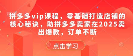 拼多多vip课程，零基础打造店铺的核心秘诀，助拼多多卖家在2025卖出爆款，订单不断-极速网创