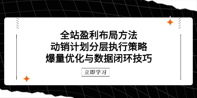 （14698期）全站盈利布局方法：动销计划分层执行策略，爆量优化与数据闭环技巧-极速网创