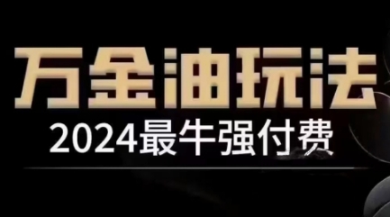 2024最牛强付费，万金油强付费玩法，干货满满，全程实操起飞（更新25年04月）-极速网创