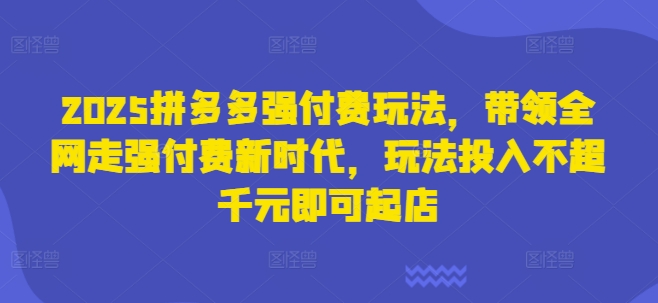 2025拼多多强付费玩法，带领全网走强付费新时代，玩法投入不超千元即可起店-极速网创