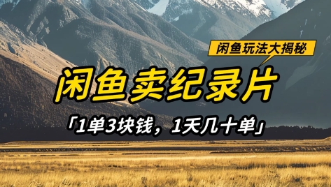 闲鱼卖纪录片1单3块钱，1天几十单，项目稳定有潜力-极速网创