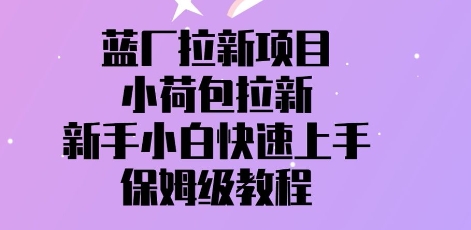 蓝厂拉新项目，小荷包拉新，新手小白快速上手，保姆级教程-极速网创
