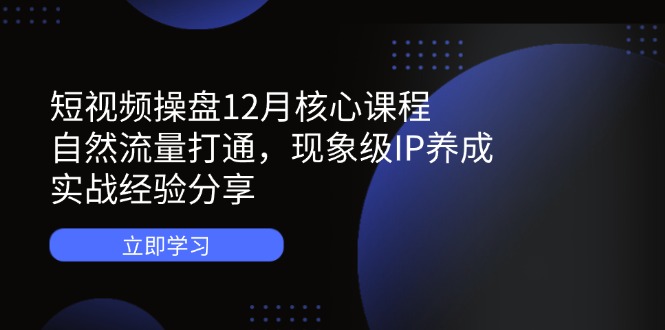 （14447期）短视频操盘12月核心课程：自然流量打通，现象级IP养成，实战经验分享-极速网创