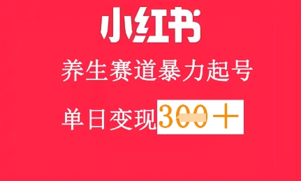 小红书养生赛道，暴力起号，轻松日入3张+-极速网创