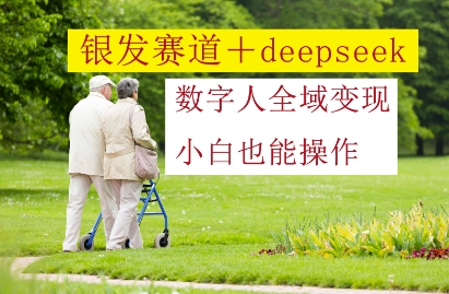 银发赛道+deepseek数字人全域变现，小白也能操作-极速网创