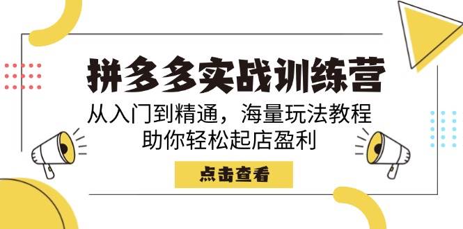 拼多多实战训练营，从入门到精通，海量玩法教程，助你轻松起店盈利-极速网创