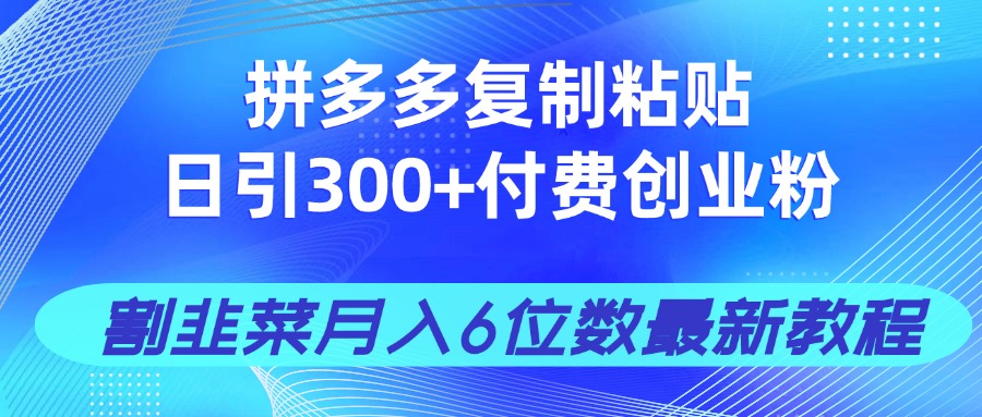 （14232期）拼多多复制粘贴日引300+付费创业粉，割韭菜月入6位数最新教程！-极速网创