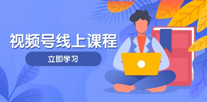 （14360期）视频号实战课程，轻IP打造与运营技巧，掌握核心方法与策略-极速网创