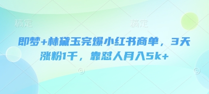 即梦+林黛玉完爆小红书商单，3天涨粉1千，靠怼人月入5k+-极速网创