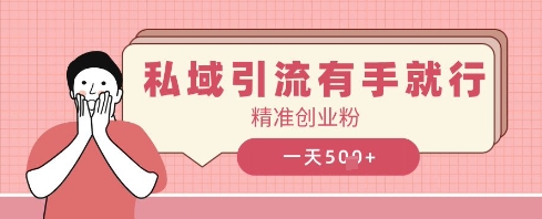 私域引流有手就行，日引500+精准创业粉-极速网创