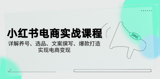 （14549期）小红书电商实战课程，详解养号、选品、文案撰写、爆款打造，实现电商变现-极速网创