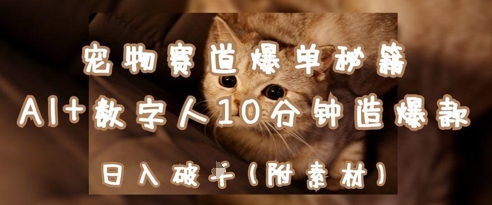 宠物赛道爆单秘籍：AI+数字人10分钟造爆款，日入1k-极速网创