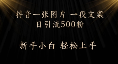 每天2分钟，抖音一张图片 一段文案日引流500粉-极速网创