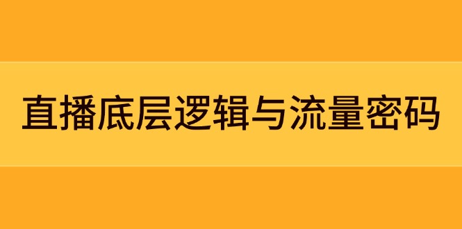 （14695期）直播底层逻辑与流量密码：定位模型+案例拆解，急速流承接与数据优化全攻略-极速网创