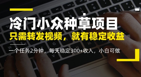 冷门小众种草项目，只需转发视频，每天就有稳定收益，无门槛，每天稳定3张+收入，小白可做-极速网创