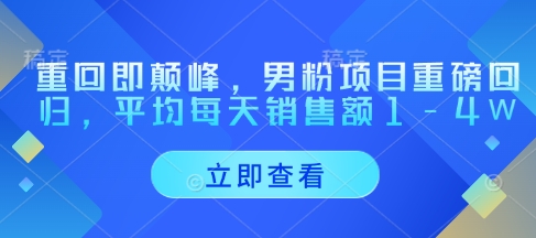 重回即颠峰，男粉项目重磅回归，平均每天销售额1-4W-极速网创