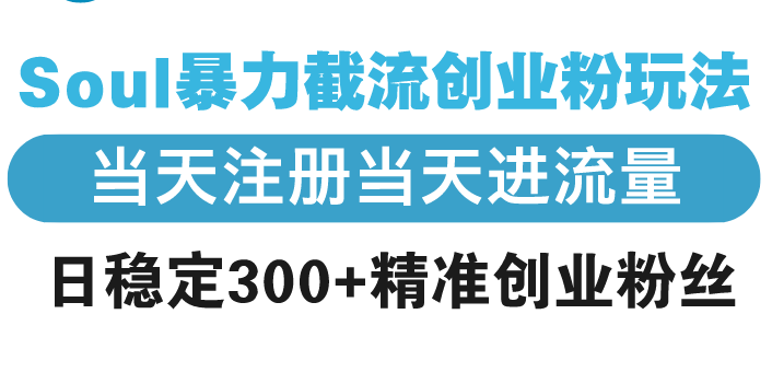 （13935期）Soul暴力截流创业粉玩法，当天注册当天进流量，日稳定300+精准创业粉丝-极速网创