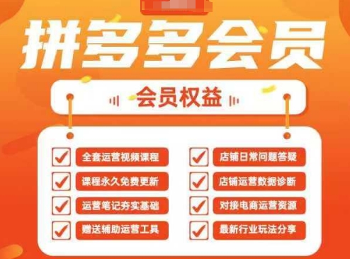 2025拼多多运营实战课，40节全流程教学，覆盖拼多多运营全链路-极速网创