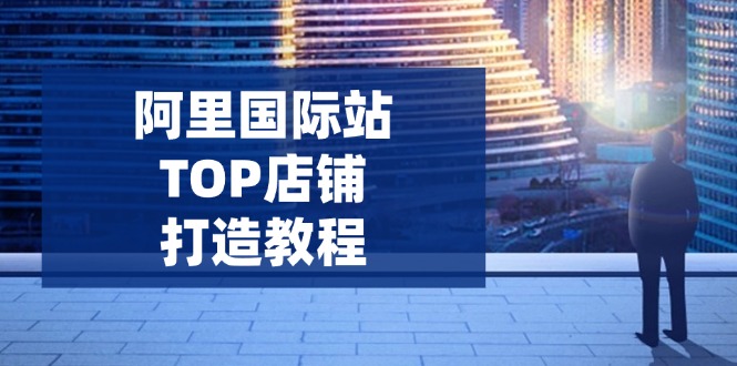 （14269期）阿里国际站TOP店铺打造教程：涵盖平台到高阶，解决运营难题，提升询盘-极速网创