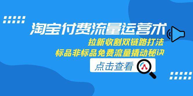 淘宝付费流量运营术，拉新收割双链路打法，标品非标品免费流量撬动秘诀-极速网创