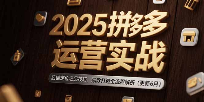 （15235期）2025拼多多运营实战：店铺定位选品技巧，爆款打造全流程解析（更新6月）-极速网创