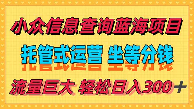 （15216期）稳定日入300＋，小众信息查询蓝海项目，全程懒人式托管，解放你的时间-极速网创