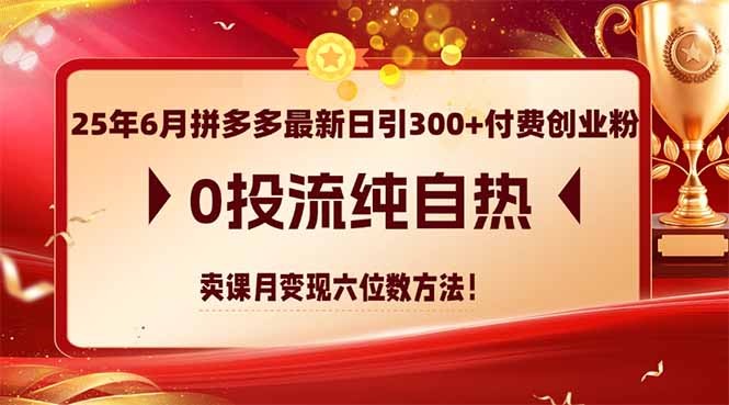 （14989期）25年6月拼多多最新日引300+付费创业粉，0投流纯自热 卖课月变现六位数方法-极速网创