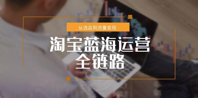 （15160期）淘宝蓝海运营全链路，从选品到流量变现，小类目突围完整方案-极速网创