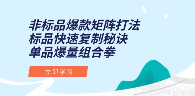（15068期）非标品爆款矩阵打法，标品快速复制秘诀，单品爆量组合拳-极速网创