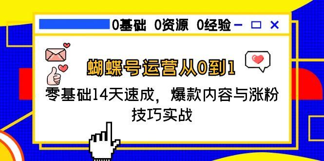 （15125期）蝴蝶号运营从0到1，零基础14天速成，爆款内容与涨粉技巧实战-极速网创