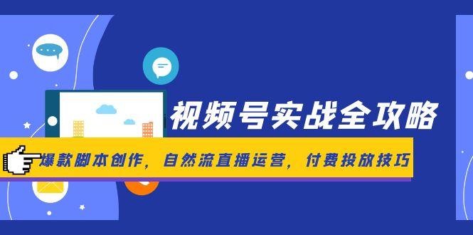 （14925期）视频号实战全攻略，爆款脚本创作，自然流直播运营，付费投放技巧-极速网创