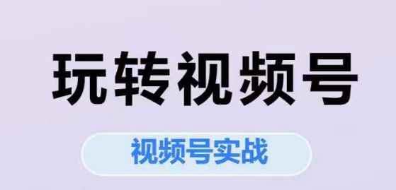 玩转视频号，视频号实战系列课-极速网创