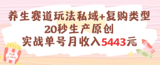 养生赛道玩法私域+复购类型，20秒生产原创实战单号月收入5k+-极速网创