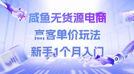 咸鱼无货源电商，高客单价玩法，新手1个月入门-极速网创
