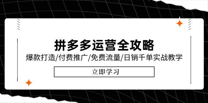 拼多多运营全攻略，爆款打造/付费推广/免费流量/日销千单实战教学/6月更新-极速网创