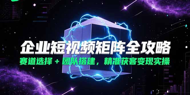（15242期）企业短视频矩阵全攻略，赛道选择+团队搭建，精准获客变现实操-极速网创