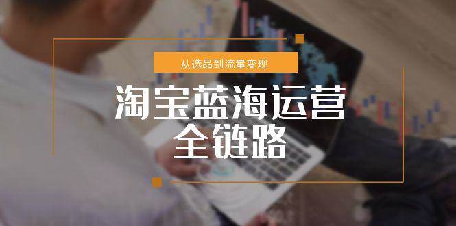 淘宝蓝海运营全链路，从选品到流量变现，小类目突围完整方案-极速网创