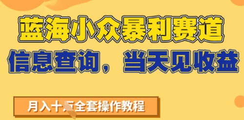 蓝海小众暴利赛道，信息查询，当天见收益，不讲玄学，7天搞了2W+-极速网创