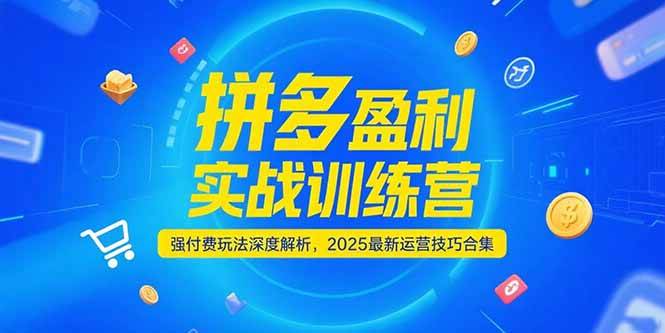拼多多盈利实战训练营，强付费玩法深度解析，2025最新运营技巧合集-极速网创